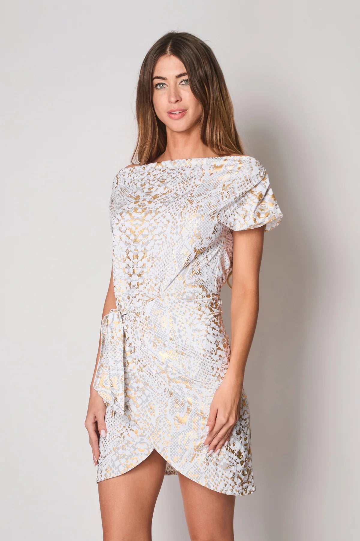 Naples Snake Print Dress