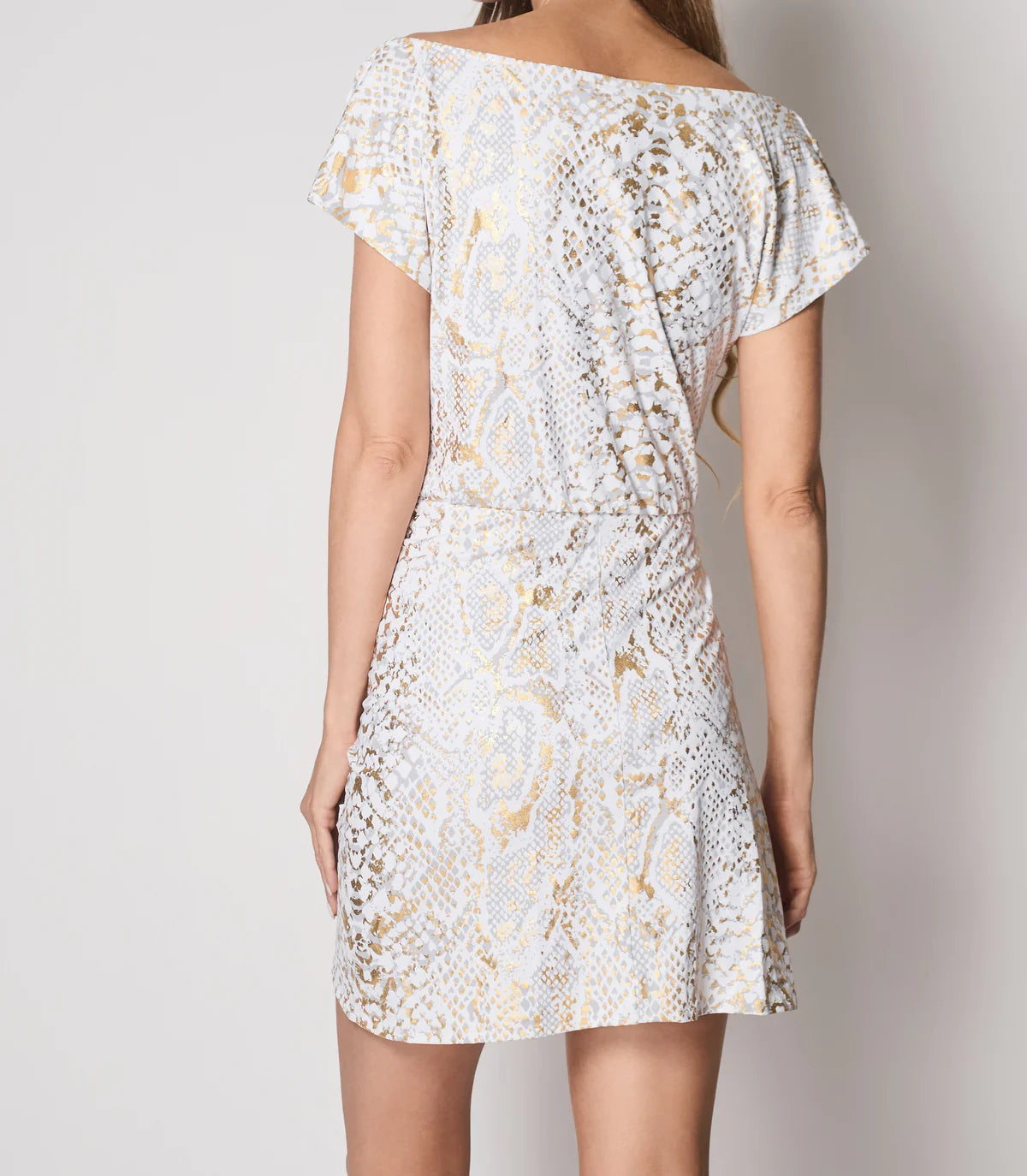 Naples Snake Print Dress